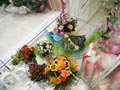 Χαρούμενα χρώματα και διακοσμητικές προτάσεις με άνθη ή φυτά