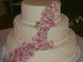 Buttons roses anchored on a cake filled with whipped cream!