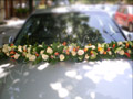 Garland car ... tulips and cymbidium