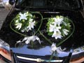 «Two hearts» begin their common course. Decoration of car with importance
