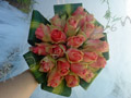 Βella rosa τριαντάφυλλα «δεμένα» <br/>με Fragrans