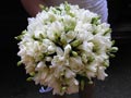 Perfumed bunch with white frezes