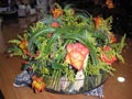 Trend Florist Trend Florist